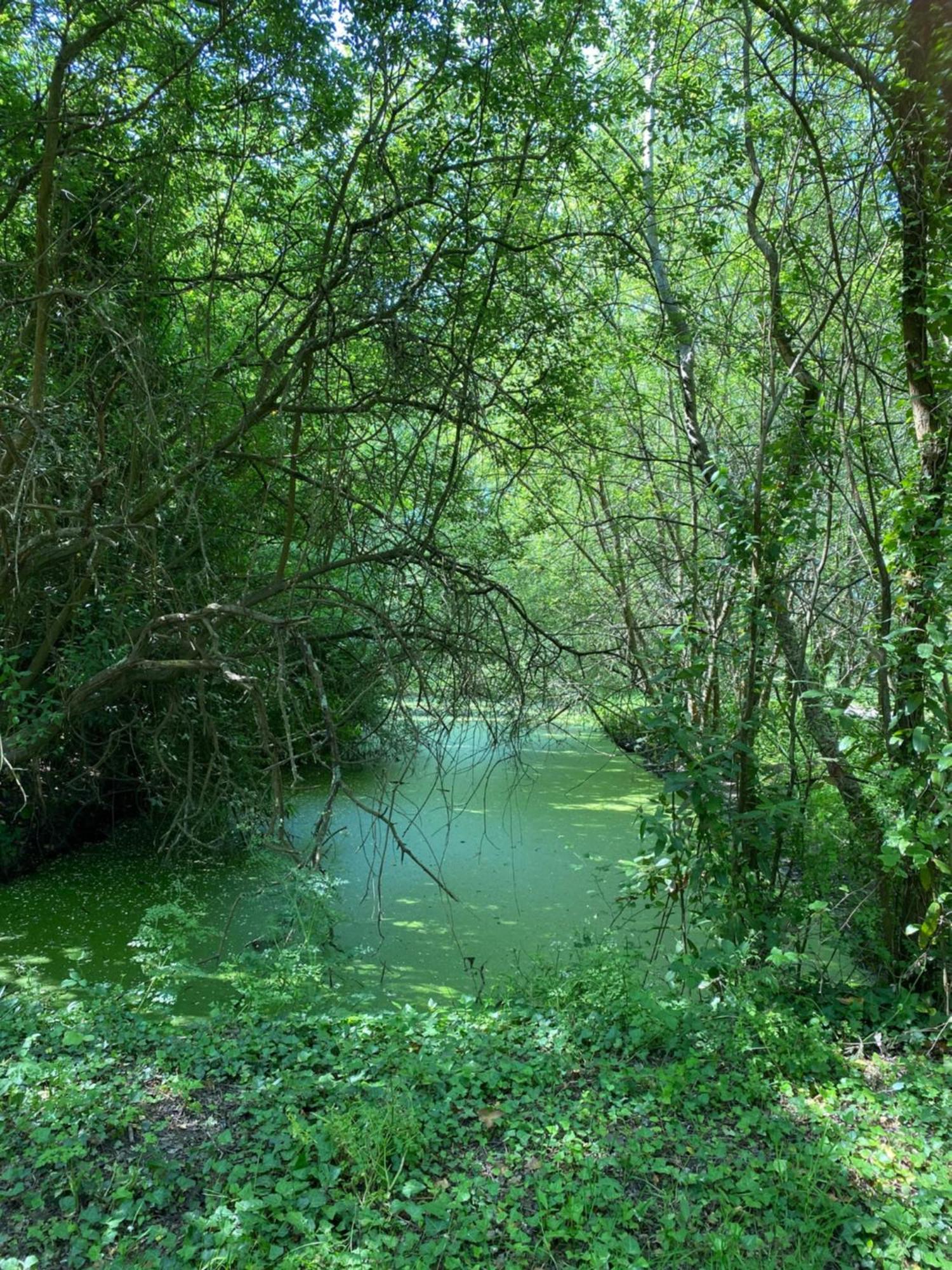 Maison Neuve Zone Coulee Verte Menant A L'Ocean Saint-Gilles-Croix-de-Vie Eksteriør bilde