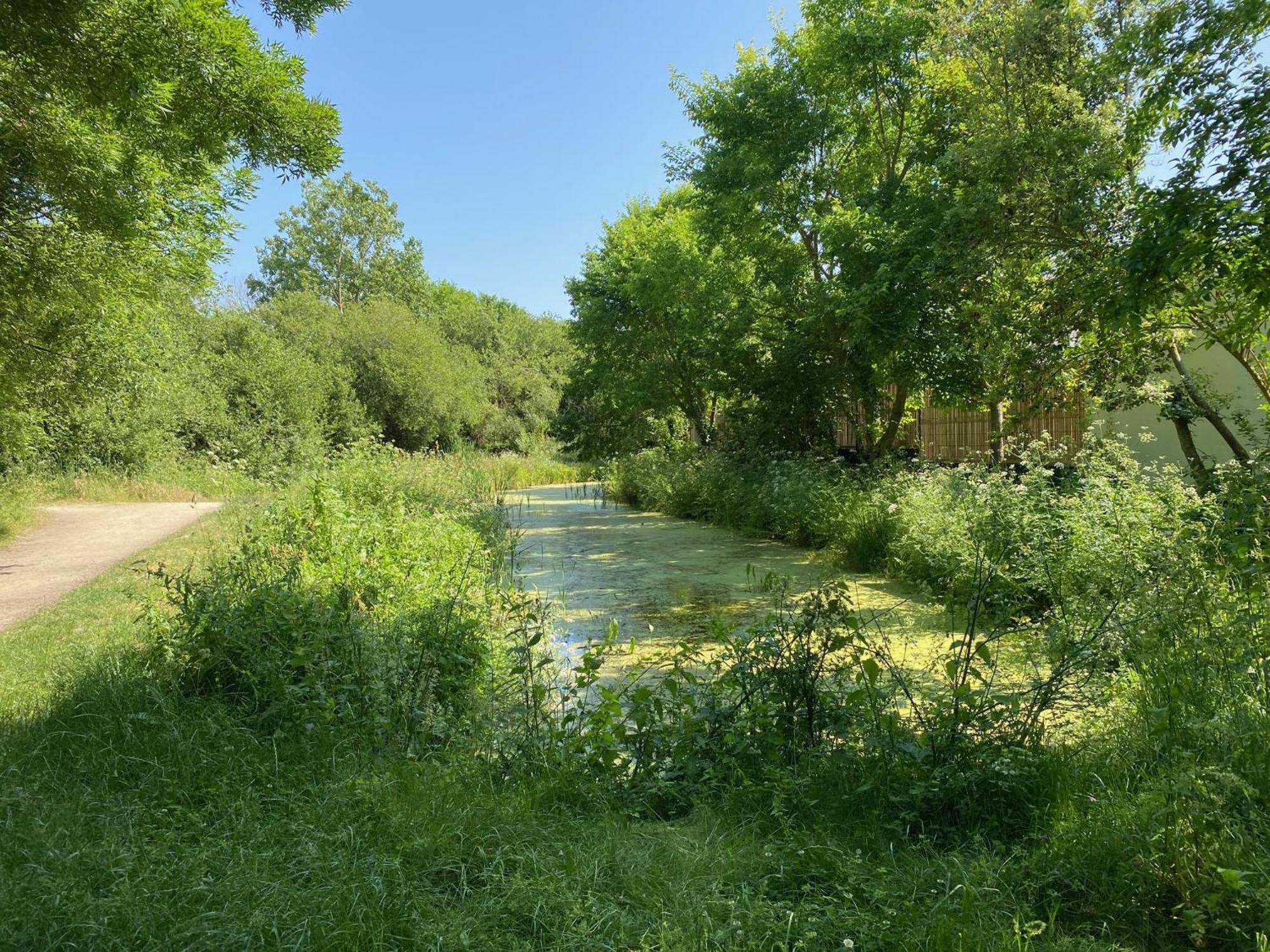 Maison Neuve Zone Coulee Verte Menant A L'Ocean Saint-Gilles-Croix-de-Vie Eksteriør bilde